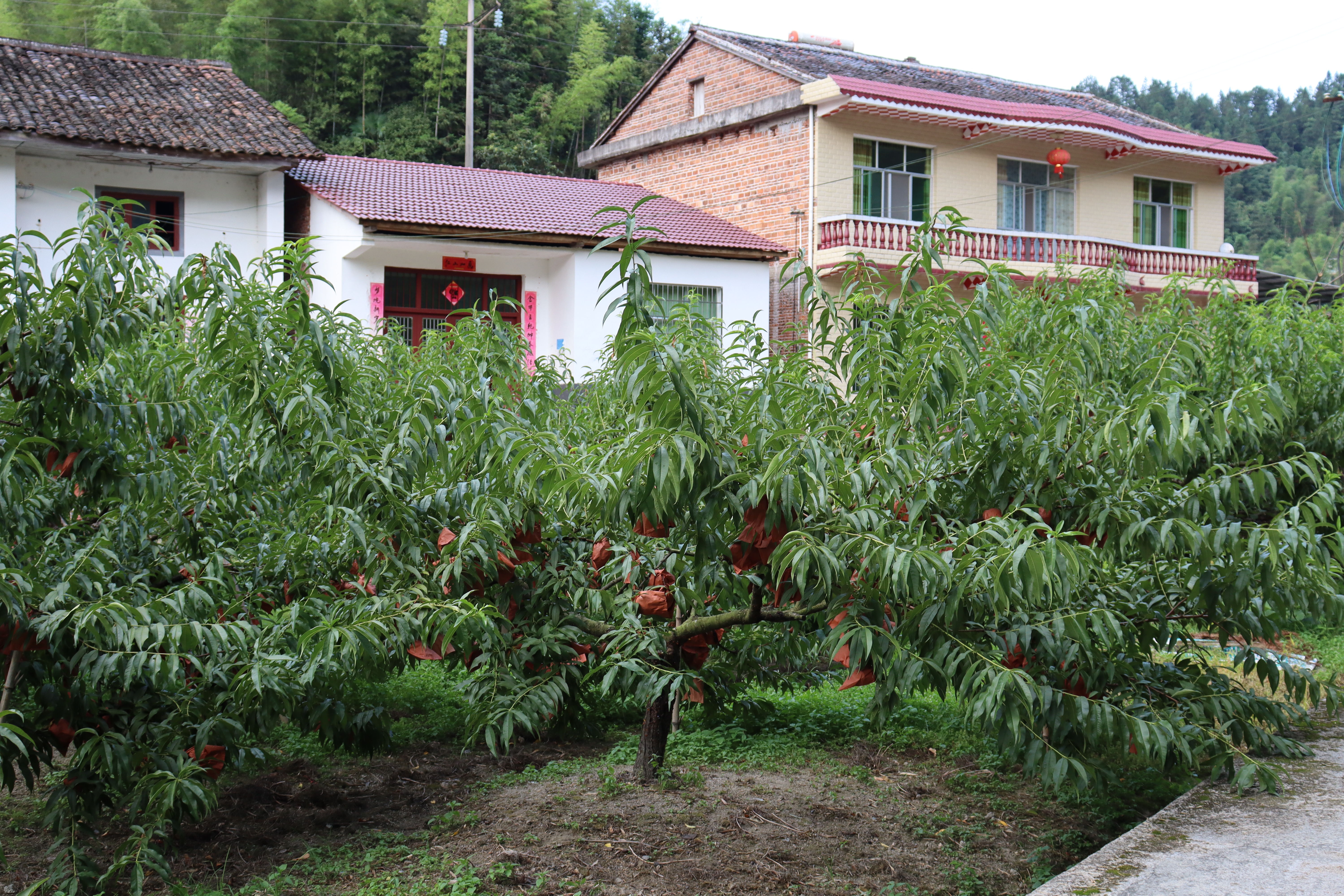 湖南工程学院beats365唯一官方网站：情系畲族村 逐梦新征程